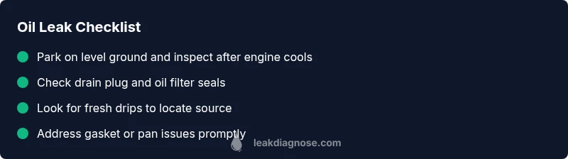 Oil leak troubleshooting infographic with checklist