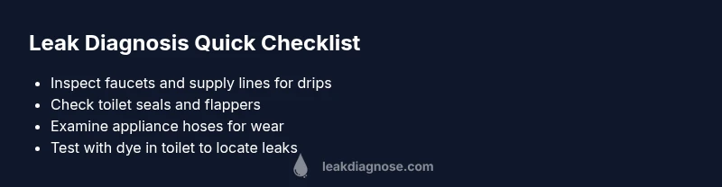 Checklist infographic for diagnosing household leaks