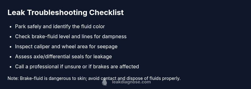 Checklist infographic for leaks near rear left tire