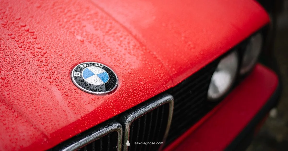 Car Leak Guide - Leak Diagnosis