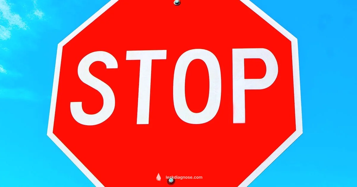 Brake Leak Guide - Leak Diagnosis