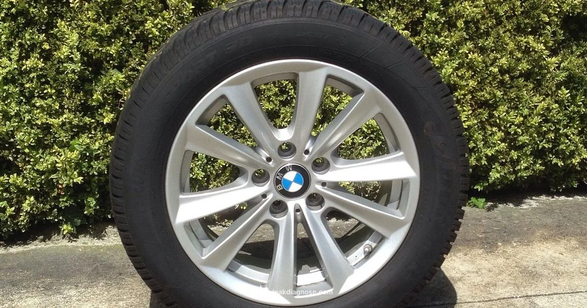 Steering Repair Costs - Leak Diagnosis