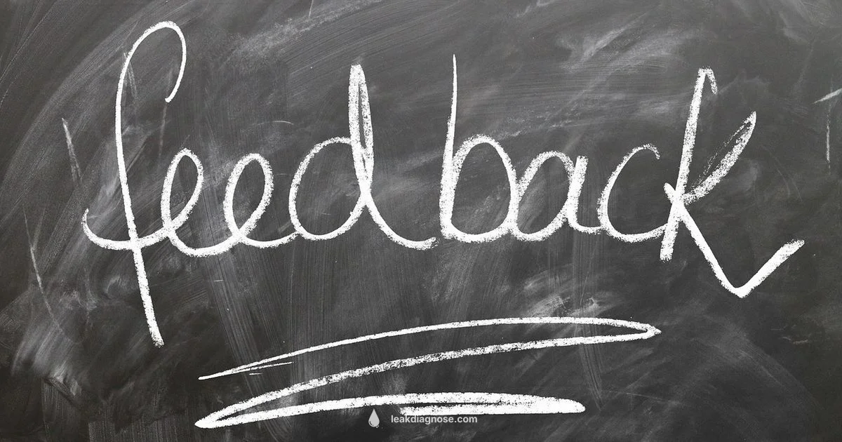 Pokemon Gen 10 Leak - Leak Diagnosis