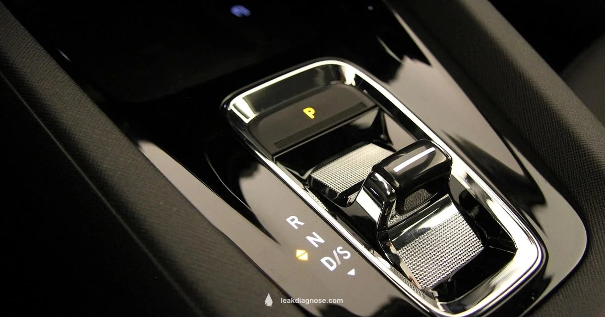 Gearbox Leak Fix - Leak Diagnosis