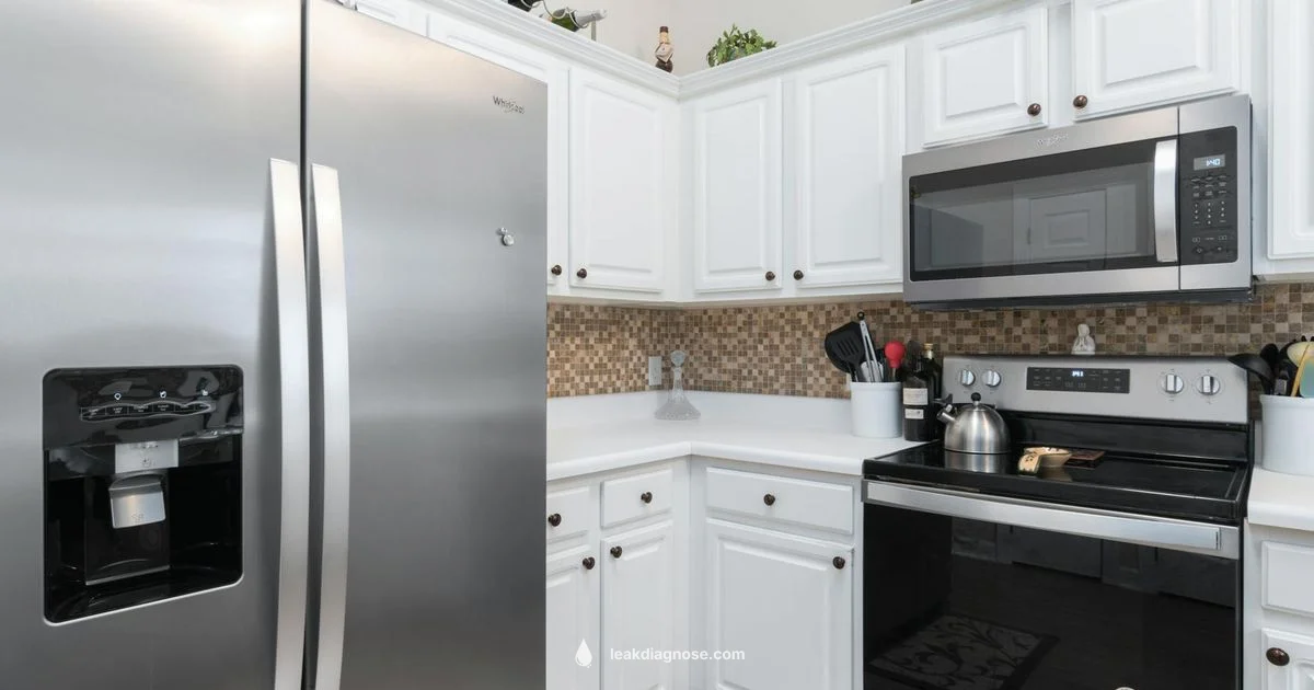 Fridge Freon Leak Fridge Freon Leak - Leak Diagnosis