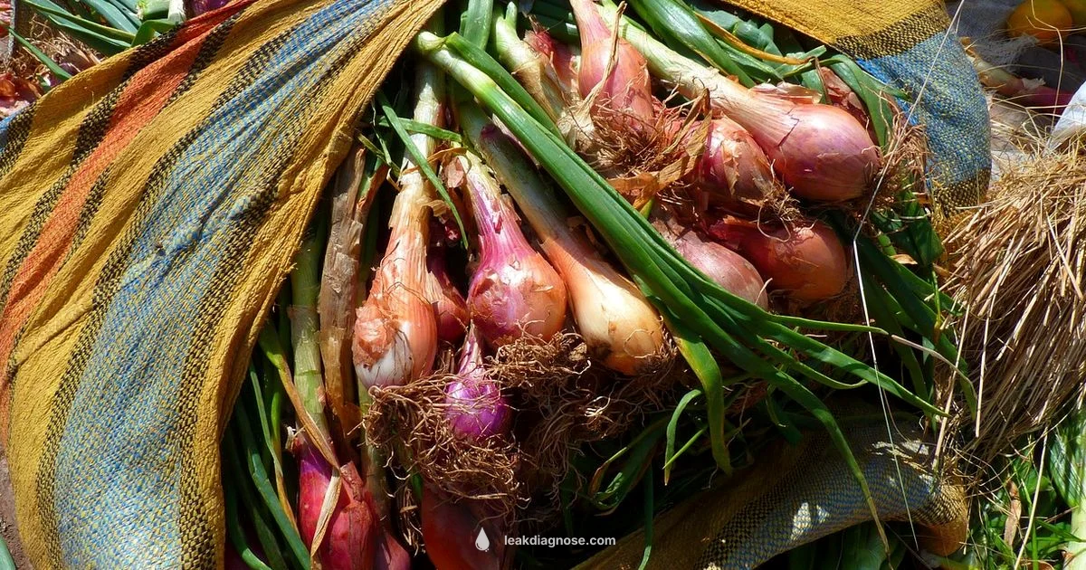 Leek vs Green Onion - Leak Diagnosis