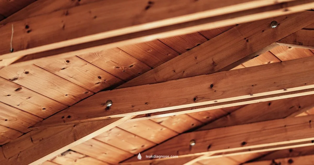 Ceiling Leak Guide - Leak Diagnosis