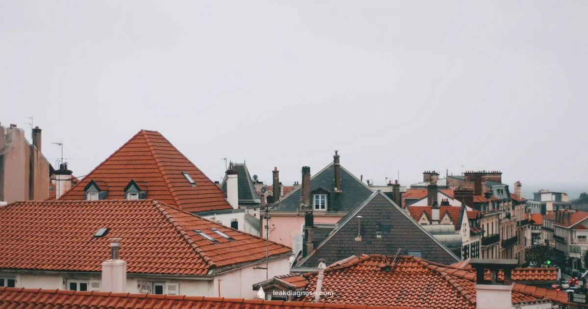 Roof Leak Cost - Leak Diagnosis